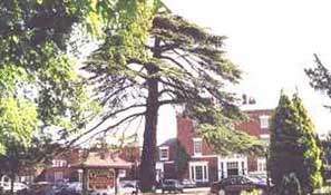 The Glebe at Barford,  Barford